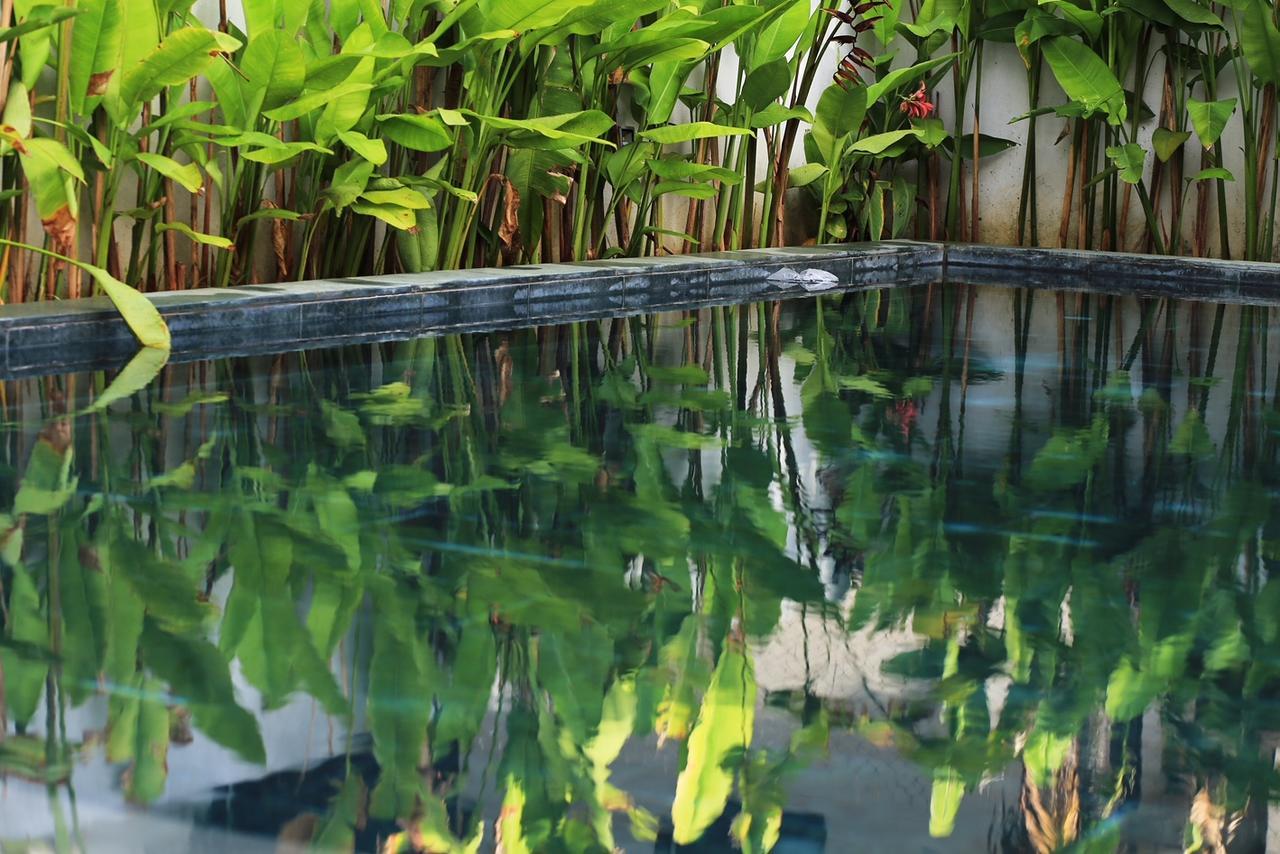 The Bau Bi Retreat Daire Hoi An Dış mekan fotoğraf